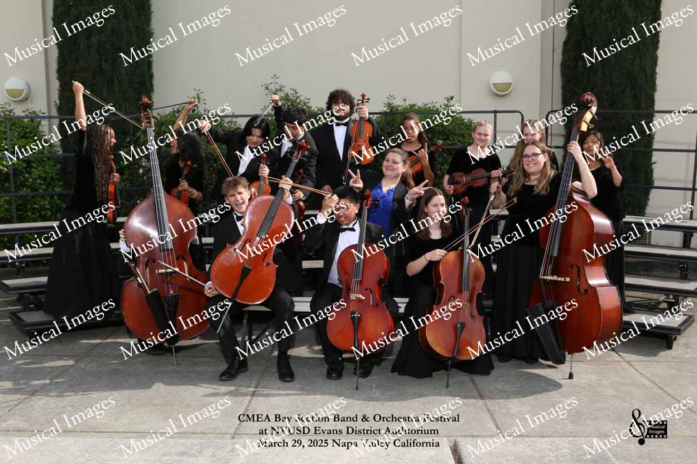Musical Images